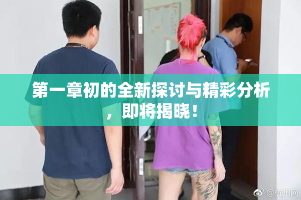 第一章初的全新探讨与精彩分析，即将揭晓！