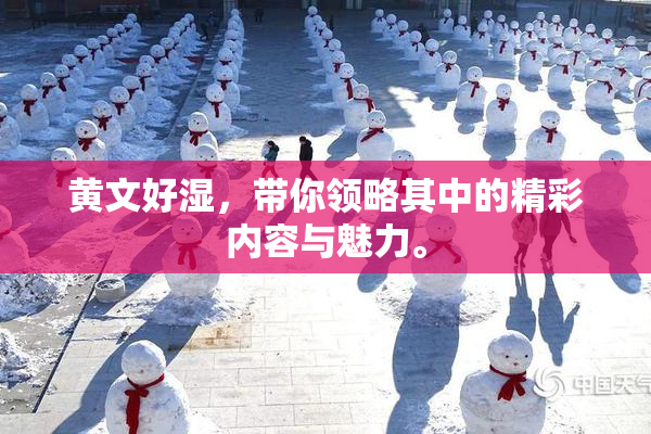 黄文好湿，带你领略其中的精彩内容与魅力。