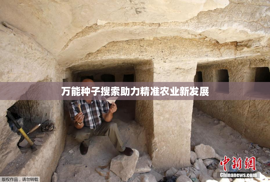 万能种子搜索助力精准农业新发展