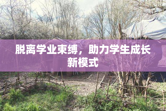 脱离学业束缚，助力学生成长新模式