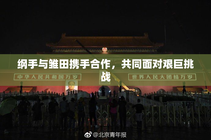 纲手与雏田携手合作，共同面对艰巨挑战