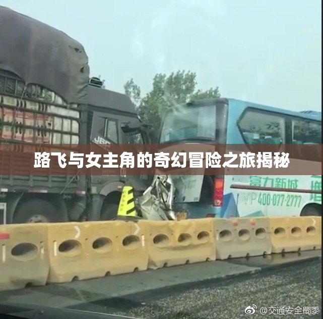 路飞与女主角的奇幻冒险之旅揭秘