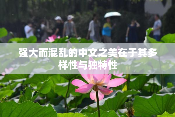 强大而混乱的中文之美在于其多样性与独特性