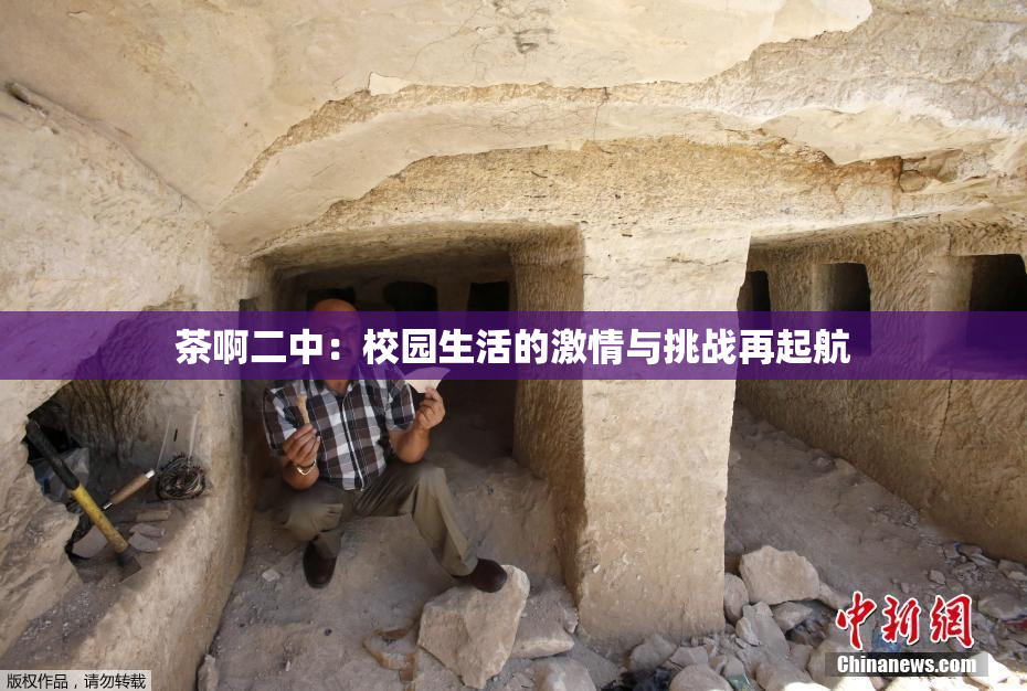 茶啊二中：校园生活的激情与挑战再起航