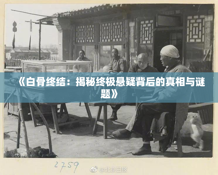 《白骨终结：揭秘终极悬疑背后的真相与谜题》