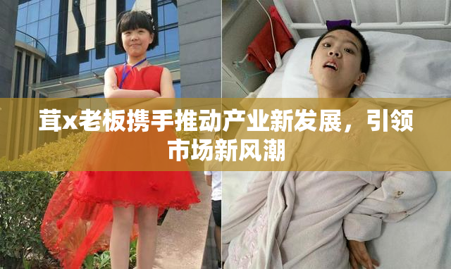 茸x老板携手推动产业新发展，引领市场新风潮
