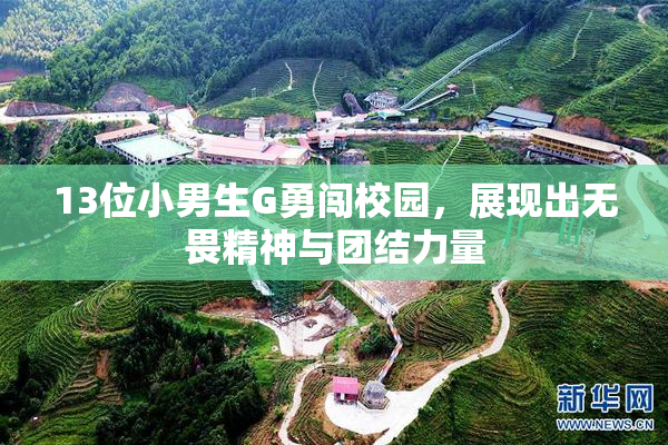 13位小男生G勇闯校园，展现出无畏精神与团结力量