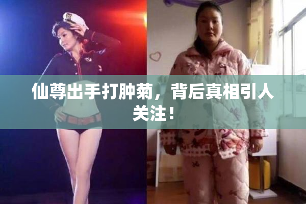 仙尊出手打肿菊，背后真相引人关注！