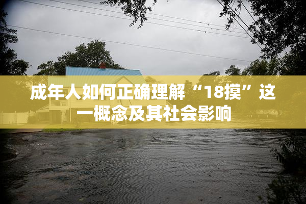成年人如何正确理解“18摸”这一概念及其社会影响