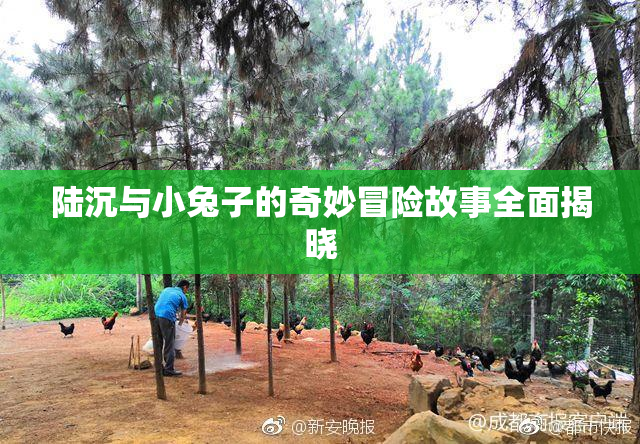 陆沉与小兔子的奇妙冒险故事全面揭晓