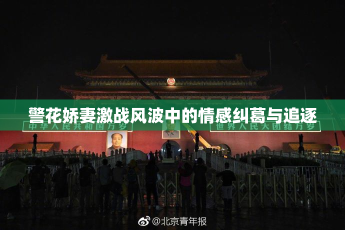 警花娇妻激战风波中的情感纠葛与追逐