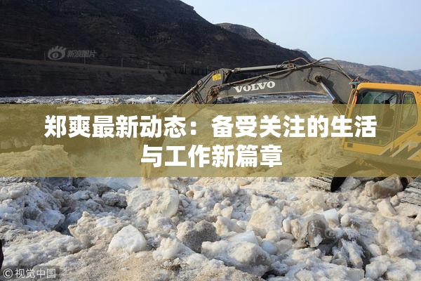 郑爽最新动态：备受关注的生活与工作新篇章
