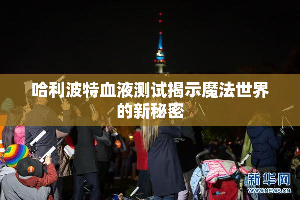 哈利波特血液测试揭示魔法世界的新秘密