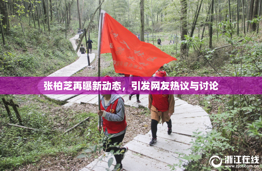 张柏芝再曝新动态，引发网友热议与讨论