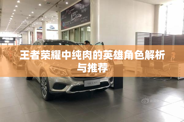 王者荣耀中纯肉的英雄角色解析与推荐