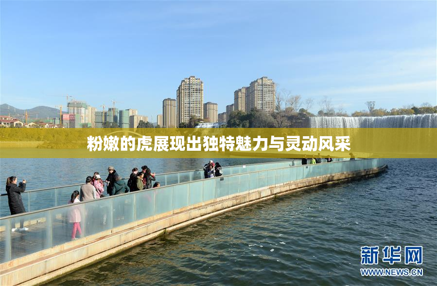 粉嫩的虎展现出独特魅力与灵动风采