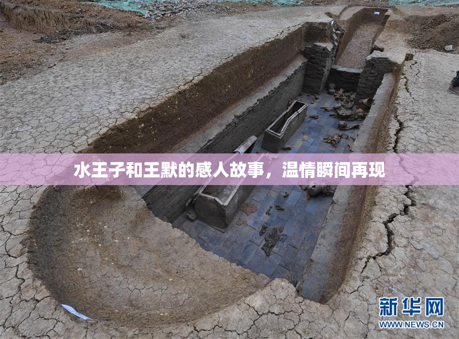 水王子和王默的感人故事，温情瞬间再现