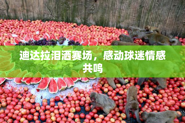 迪达拉泪洒赛场，感动球迷情感共鸣