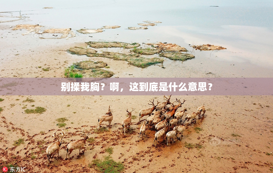 别揉我胸？啊，这到底是什么意思？