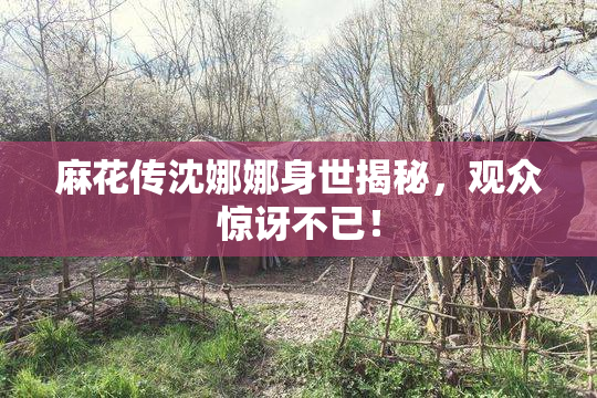 麻花传沈娜娜身世揭秘，观众惊讶不已！