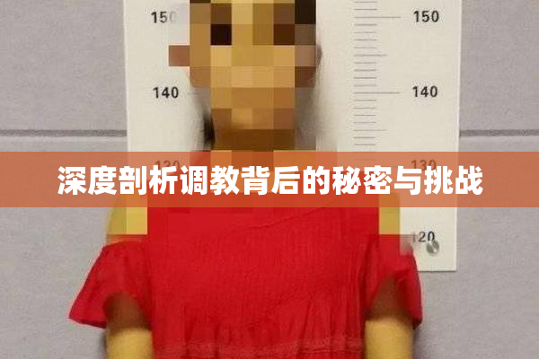 深度剖析调教背后的秘密与挑战