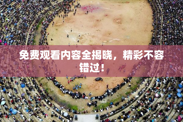 免费观看内容全揭晓，精彩不容错过！