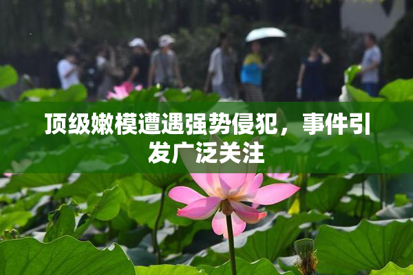 顶级嫩模遭遇强势侵犯，事件引发广泛关注