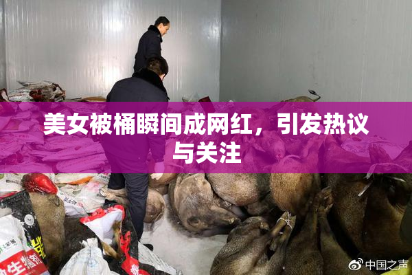 美女被桶瞬间成网红，引发热议与关注