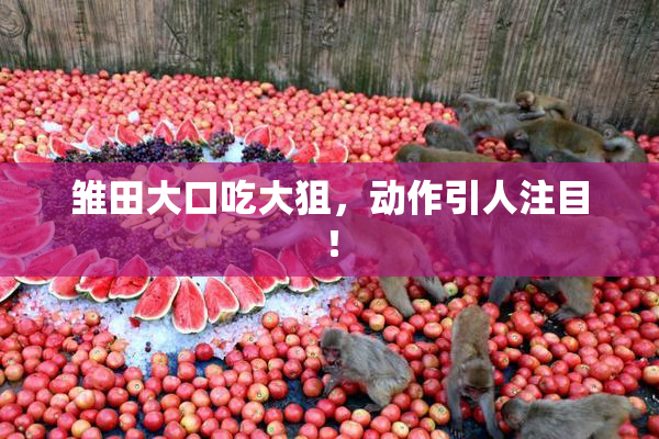雏田大口吃大狙，动作引人注目！