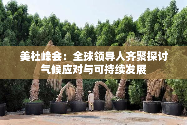 美杜峰会：全球领导人齐聚探讨气候应对与可持续发展