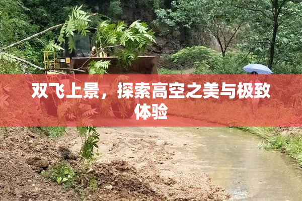双飞上景，探索高空之美与极致体验