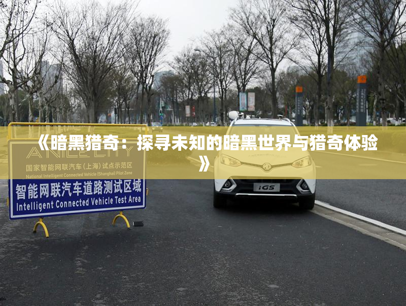 《暗黑猎奇：探寻未知的暗黑世界与猎奇体验》