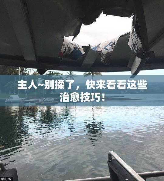 主人~别揉了，快来看看这些治愈技巧！