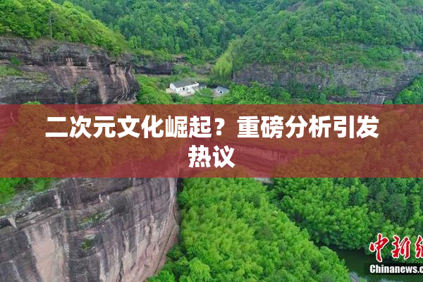 二次元文化崛起？重磅分析引发热议