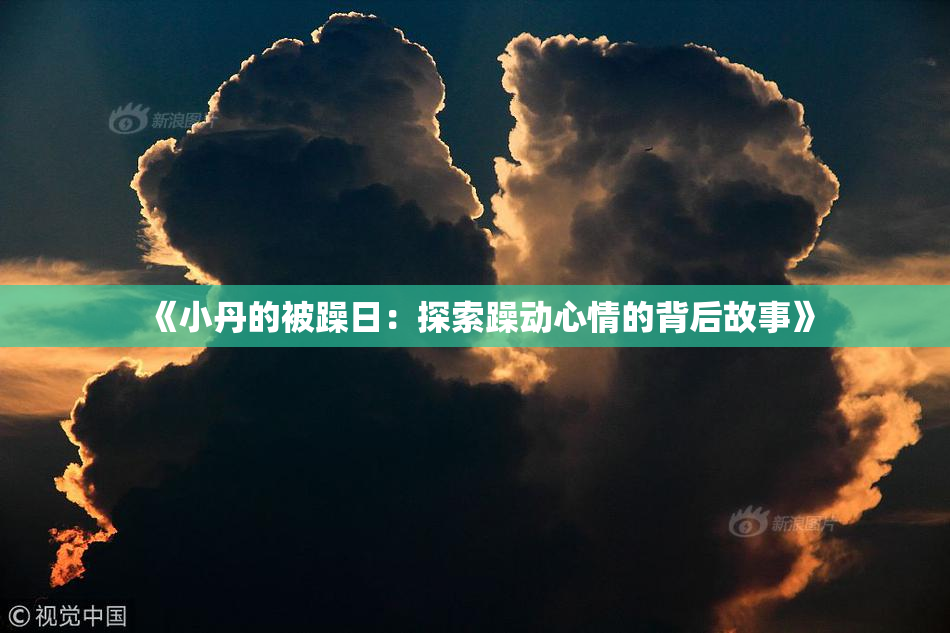 《小丹的被躁日：探索躁动心情的背后故事》