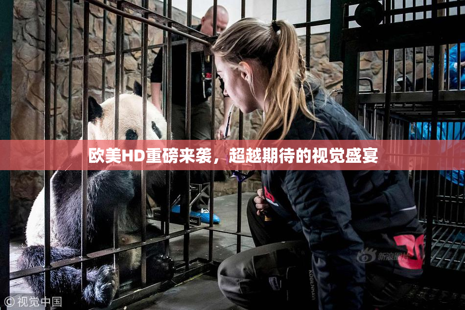 欧美HD重磅来袭，超越期待的视觉盛宴