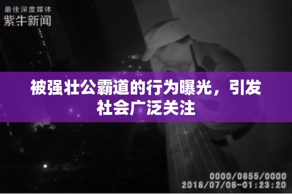 被强壮公霸道的行为曝光，引发社会广泛关注