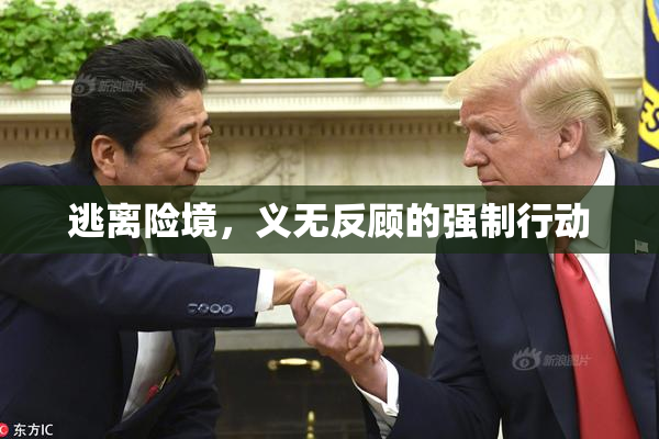 逃离险境，义无反顾的强制行动