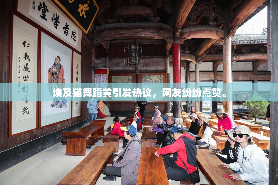 埃及猫舞蹈黄引发热议，网友纷纷点赞。