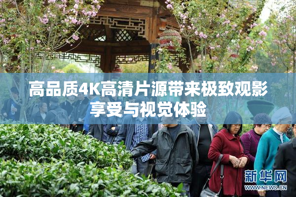 高品质4K高清片源带来极致观影享受与视觉体验