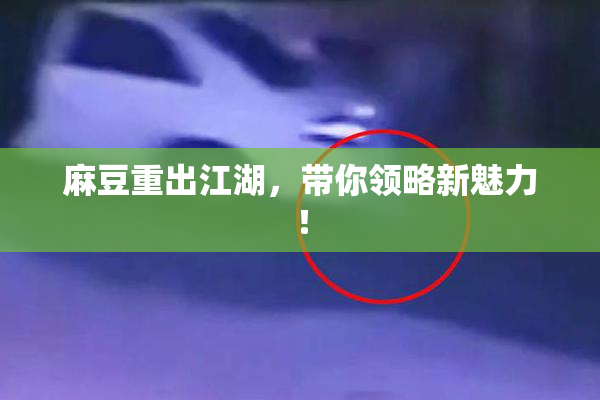 麻豆重出江湖，带你领略新魅力！