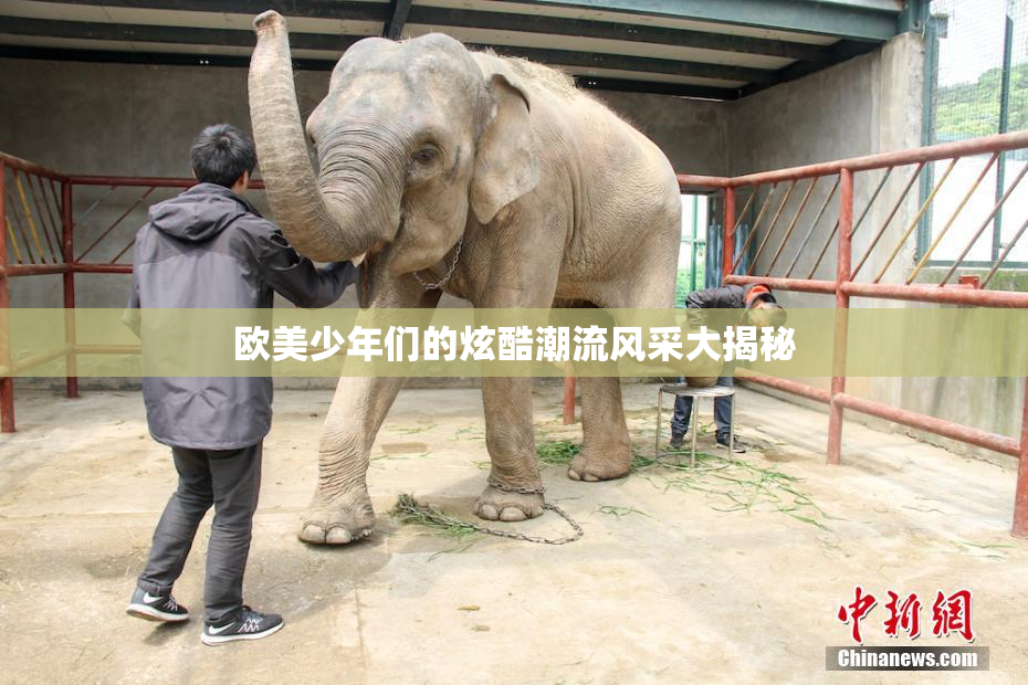 欧美少年们的炫酷潮流风采大揭秘