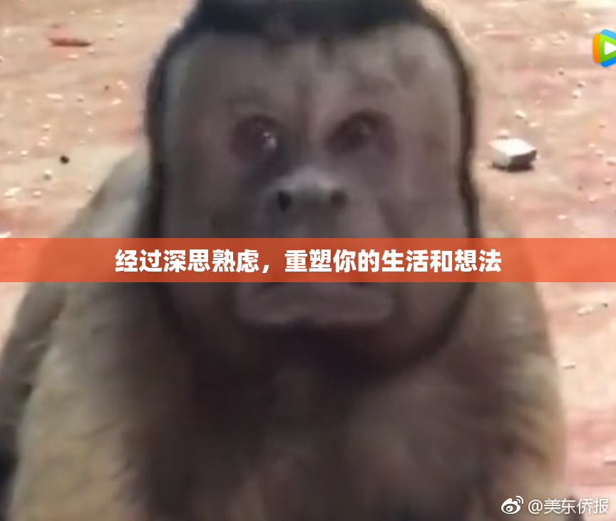 经过深思熟虑，重塑你的生活和想法
