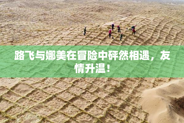 路飞与娜美在冒险中砰然相遇，友情升温！