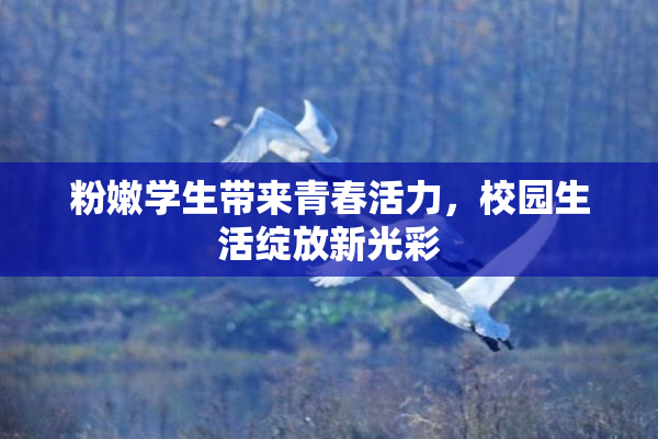 粉嫩学生带来青春活力，校园生活绽放新光彩