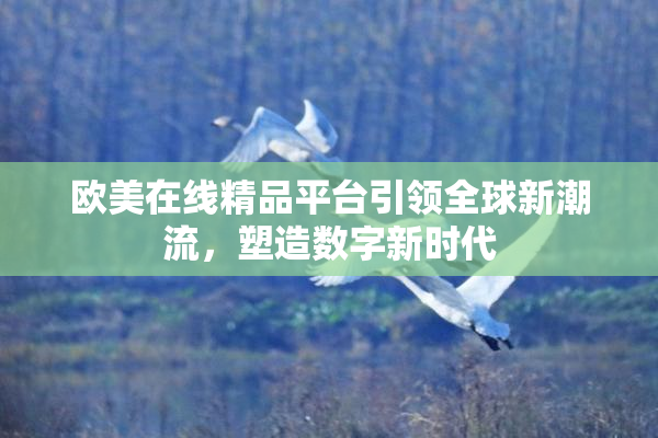 欧美在线精品平台引领全球新潮流，塑造数字新时代