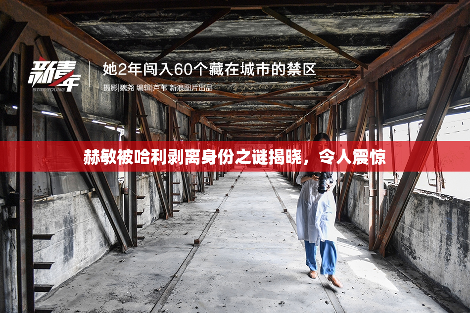 赫敏被哈利剥离身份之谜揭晓，令人震惊
