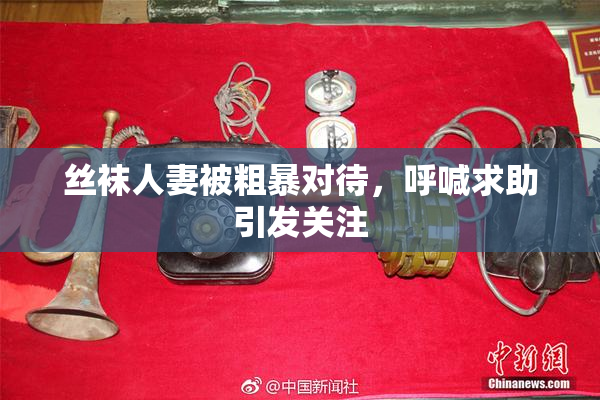 丝袜人妻被粗暴对待，呼喊求助引发关注