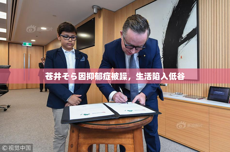 苍井そら因抑郁症被躁，生活陷入低谷