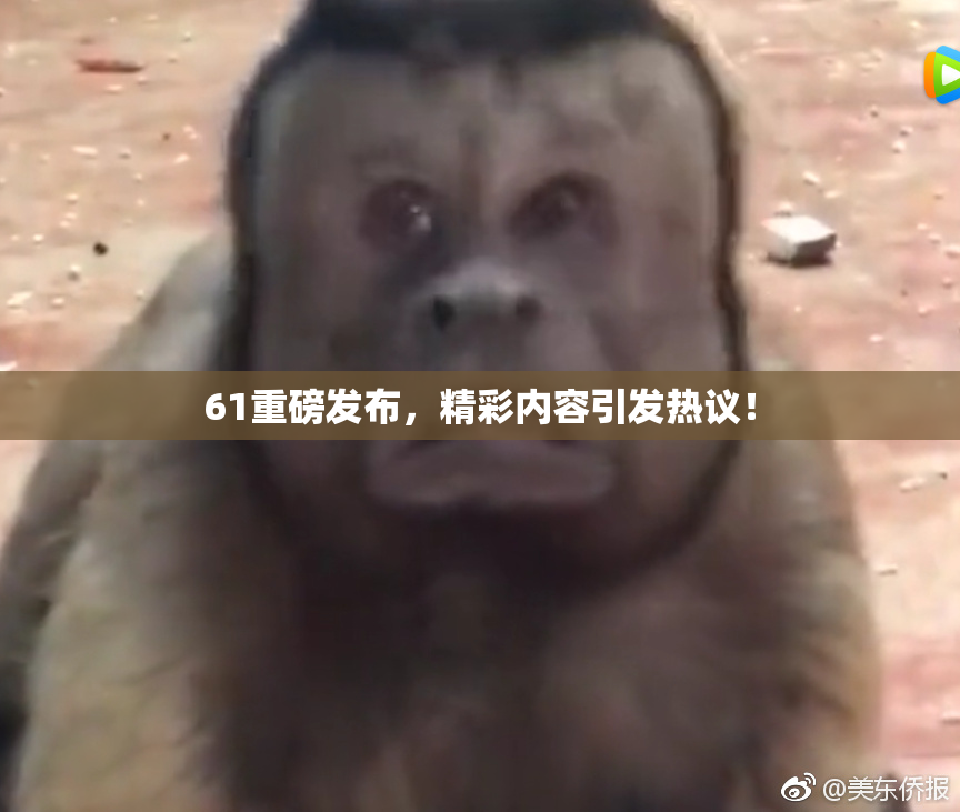 61重磅发布，精彩内容引发热议！